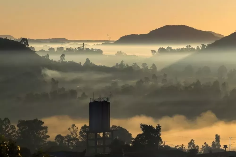 Reprodução / Internet