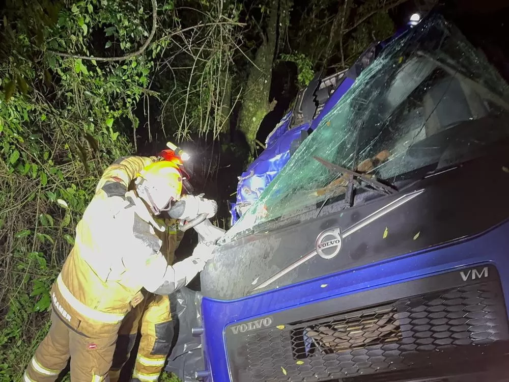 Renato Bueno – Sulbrasileira