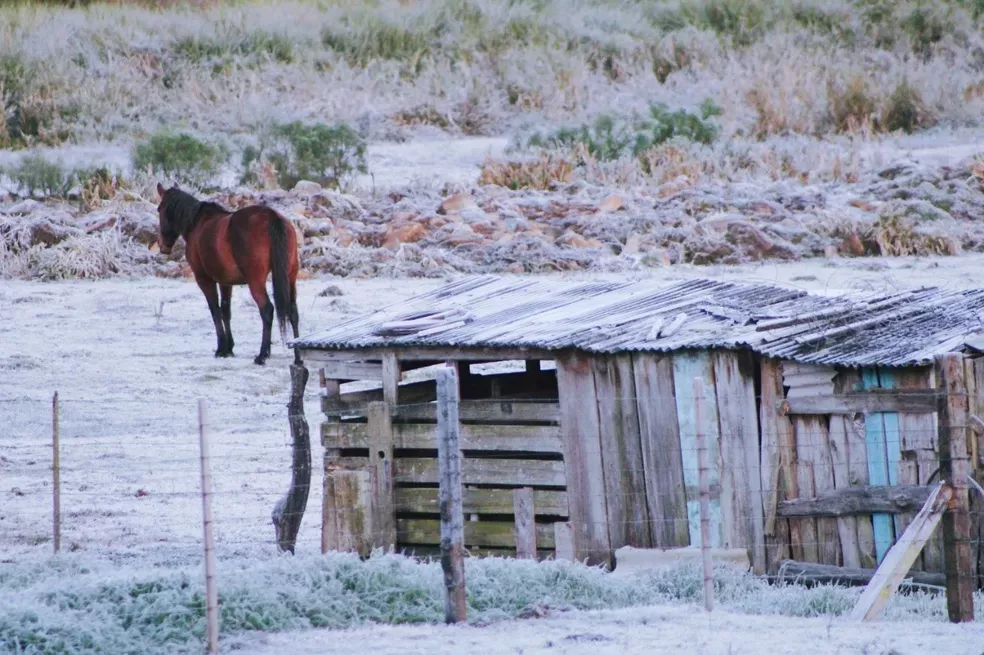 Felipe Hofman/Arquivo pessoal