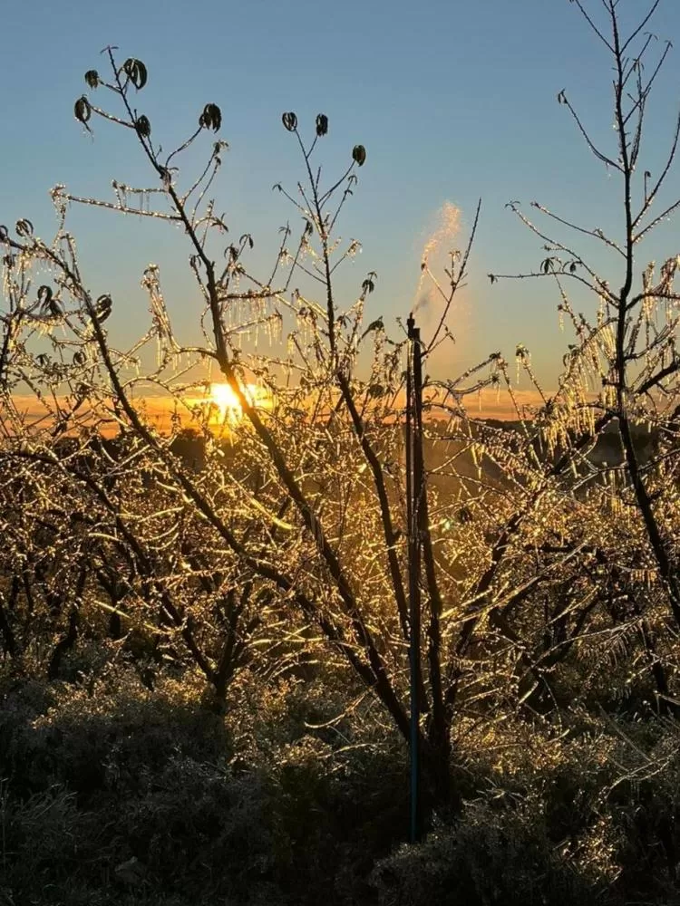 Adair Rizzardo / Arquivo Pessoal