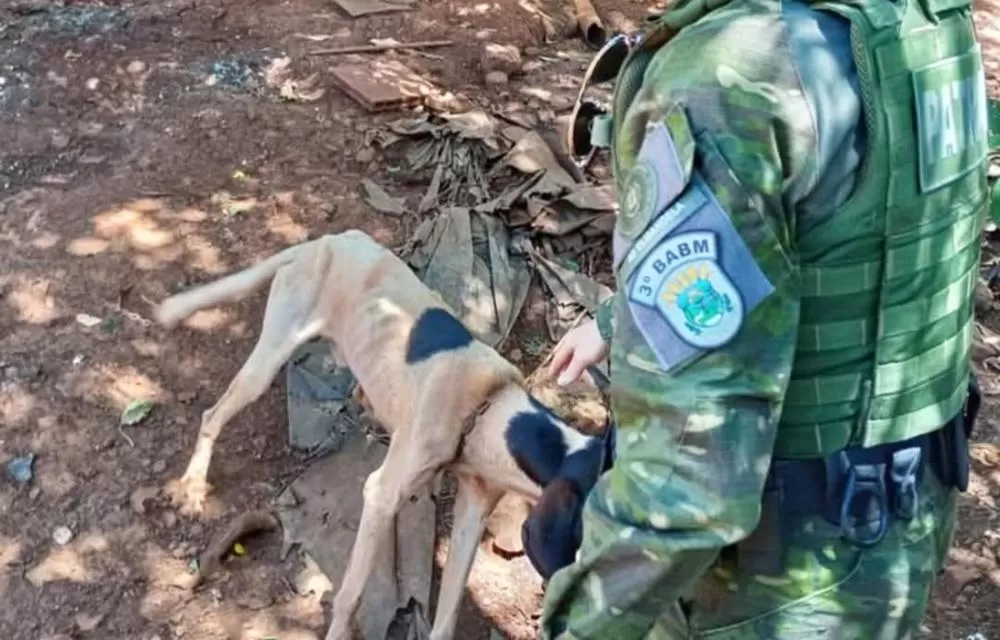 3º BABM | Frederico Westphalen