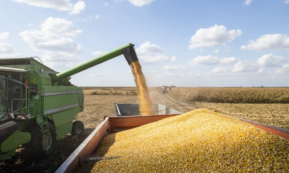  Divulgação/Arquivo OPR