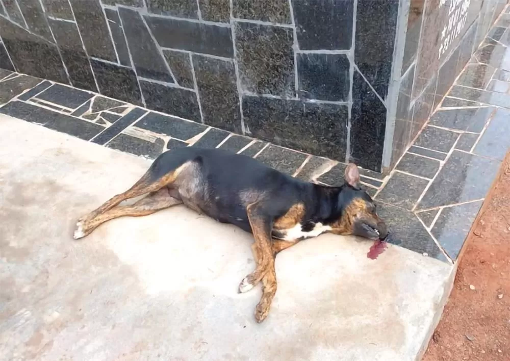 Reprodução / Redes Sociais 