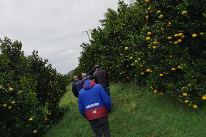 CoopSalzano / Divulgação