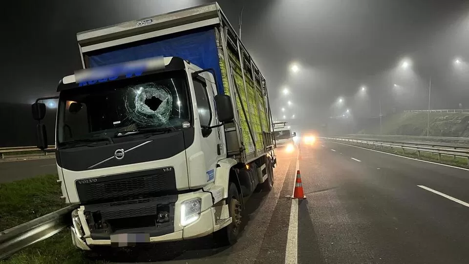 Marcio Steiner/Rádio Independente