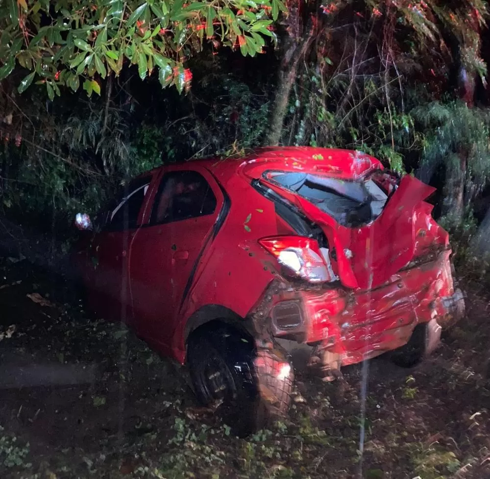 Renato Bueno/Sulbrasileira