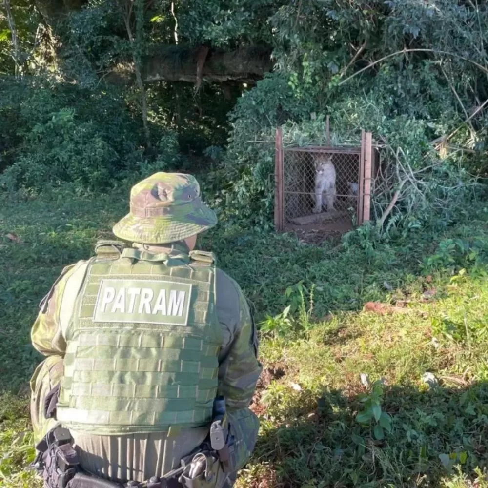 3º BABM/Divulgação