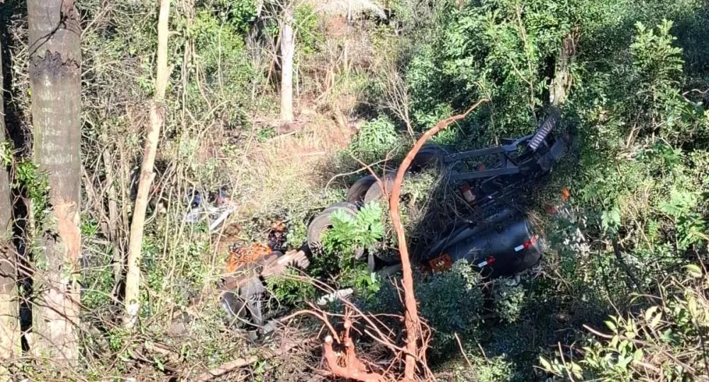 Caçadores de Notícias / Reprodução