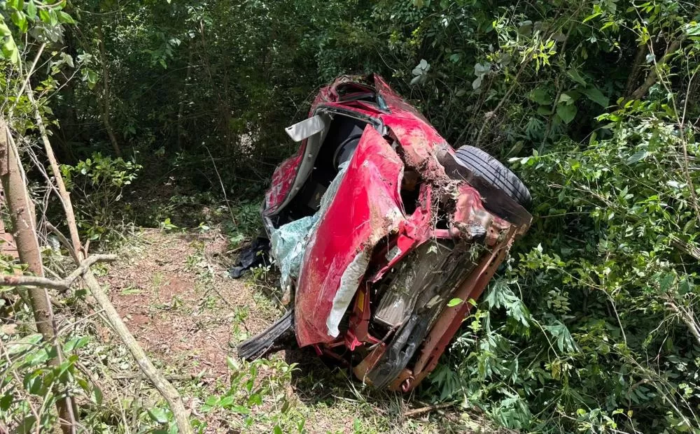 Vadi da Silveira-Ouvinte Universal