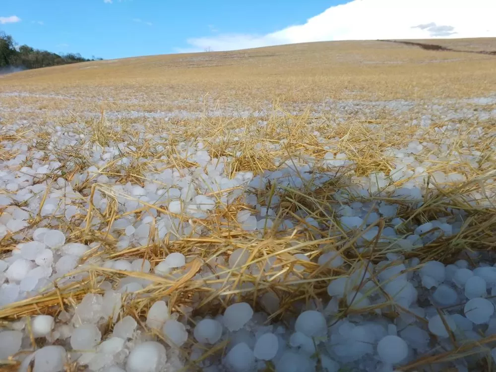 Emater-RS/Ascar - Sarandi