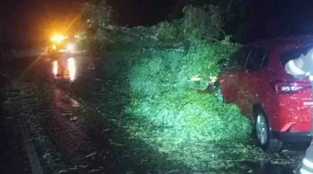 Rádio Sulbrasileira / Reprodução