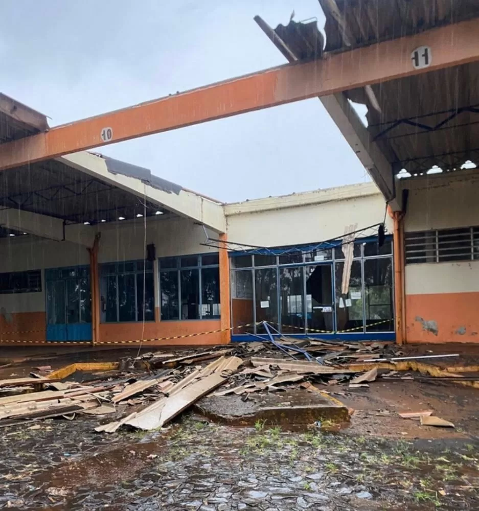 Daniel Galvão Brizola / Reprodução