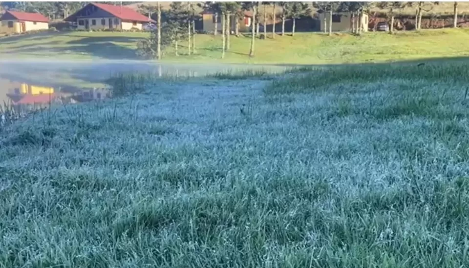 Anapio Pereira / Reprodução