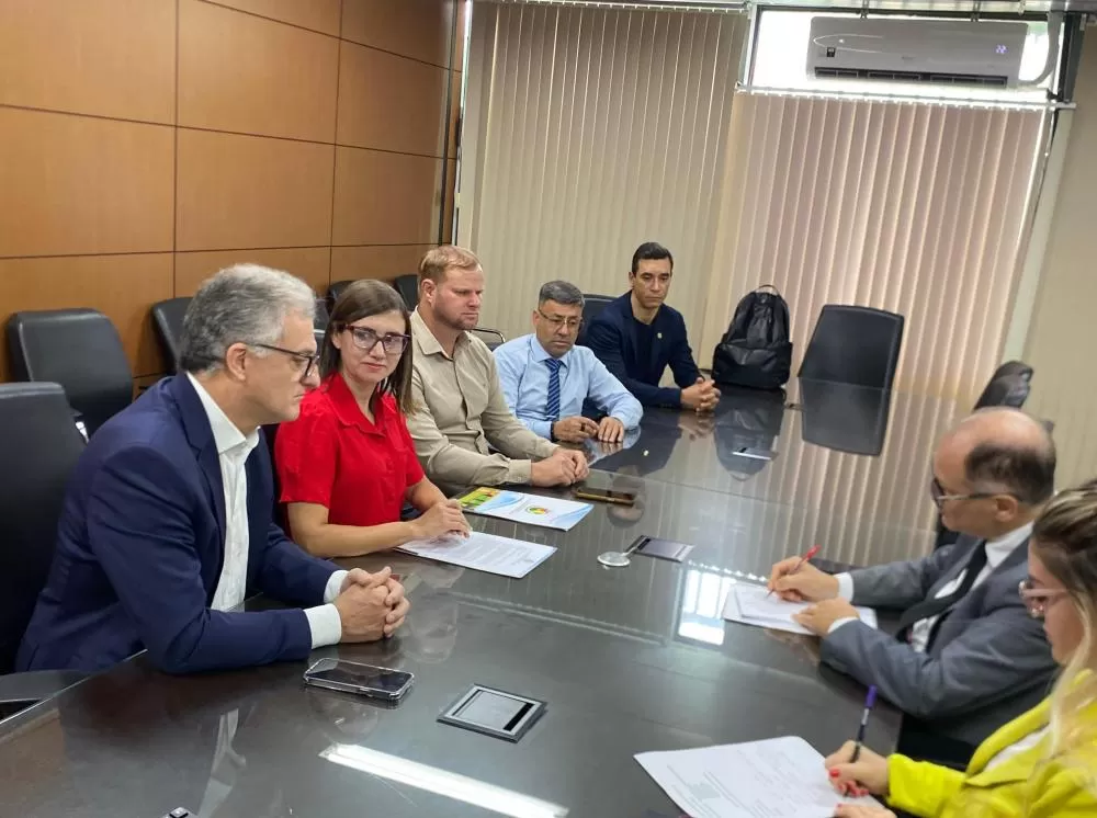 Camila Schmidt / ASCOM - Câmara de Vereadores de Palmeira das Missões / Divulgação