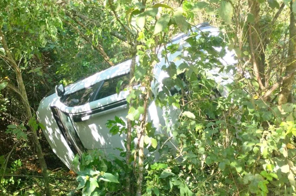 Leitora / Portal A Informação