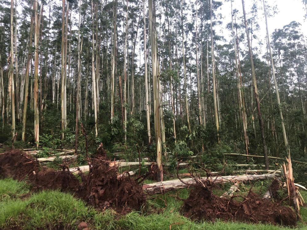 Josias Marques / In Foco RS