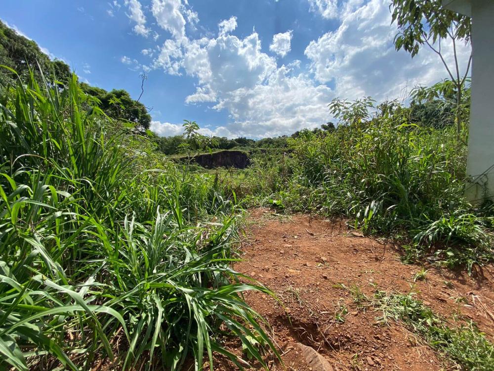 Foto: Maicon Ferreira