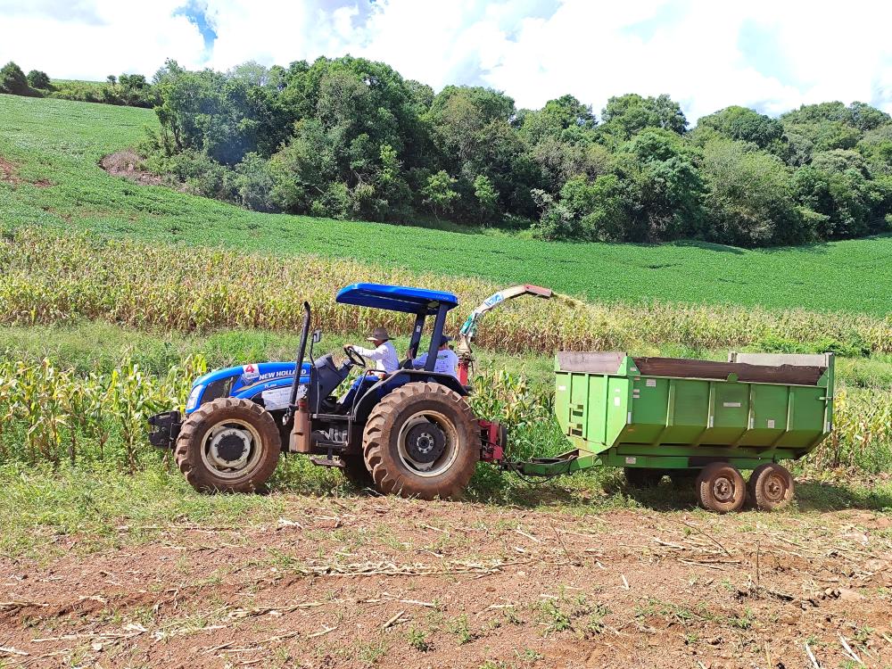 Gilvan Vargas / Maquinários na produção de silagem.
