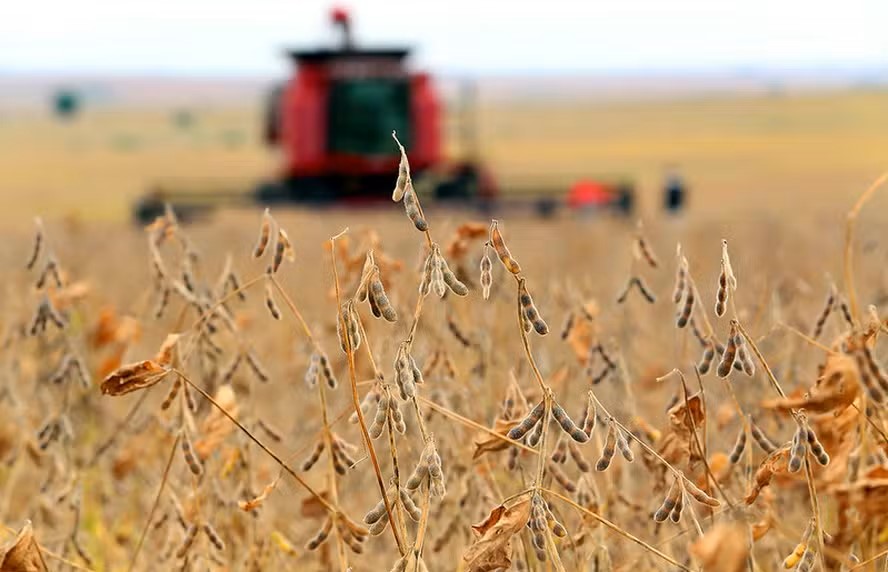 Luiz Chaves/Arquivo/Secom-RS